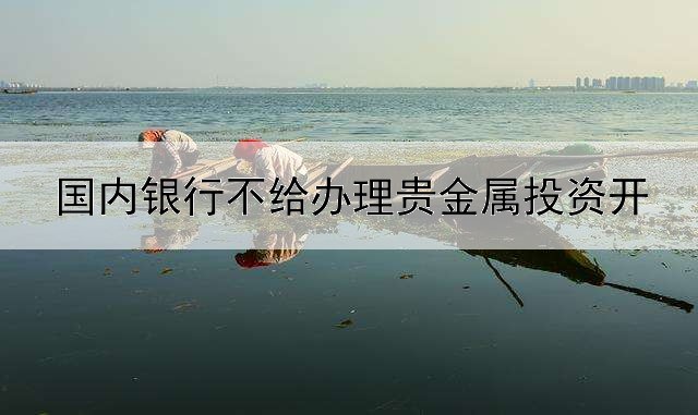  国内银行不给办理贵金属投资开户了吗?