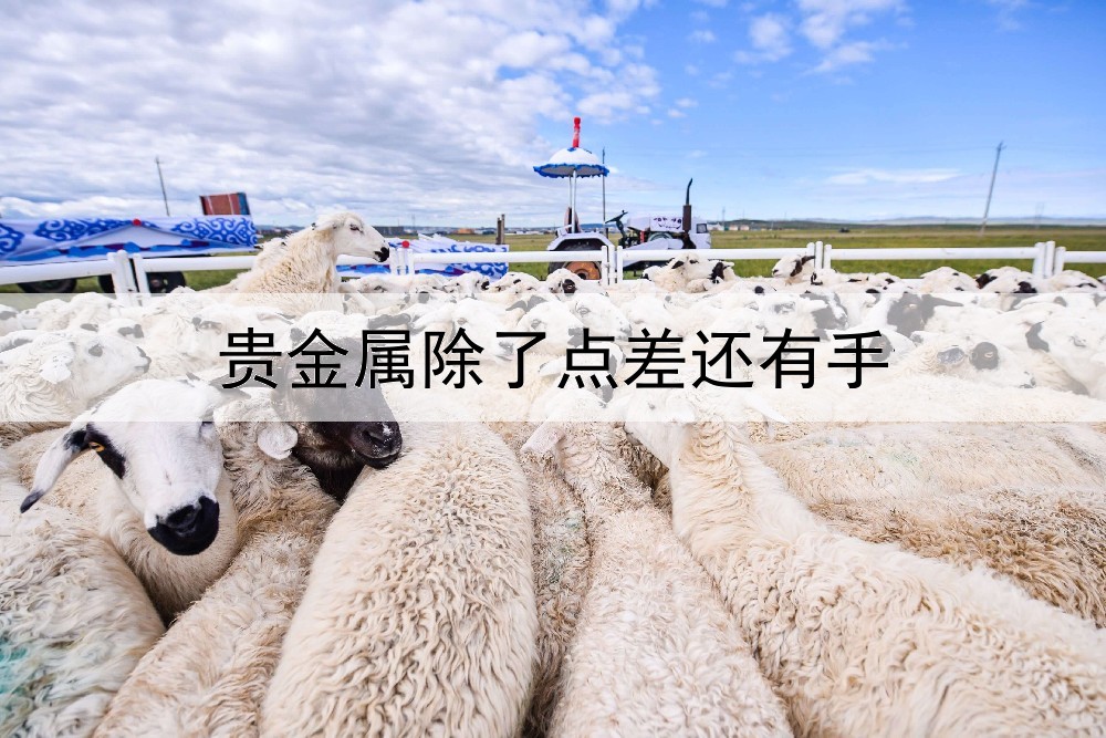  贵金属除了点差还有手续费吗