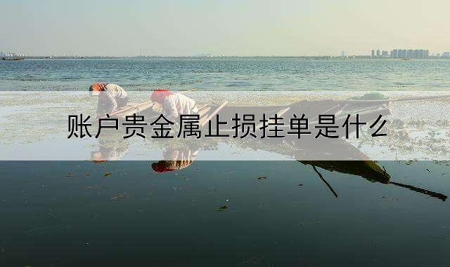  账户贵金属止损挂单是什么意思？