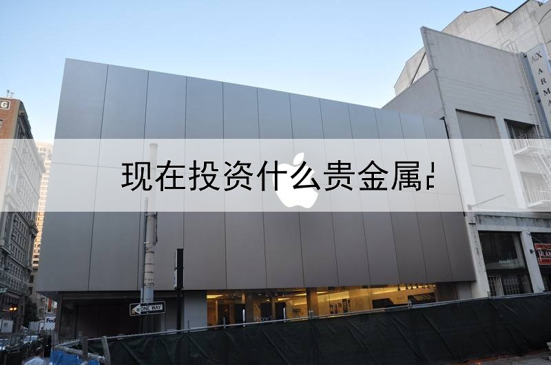  现在投资什么贵金属品种好