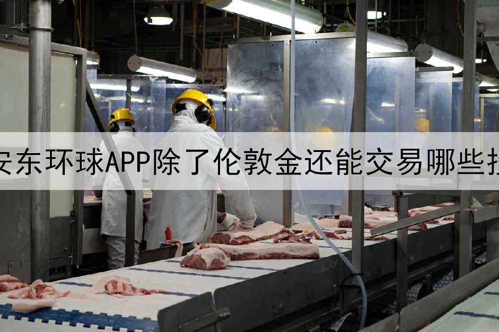  华信金业APP除了伦敦金还能交易哪些投资产品？