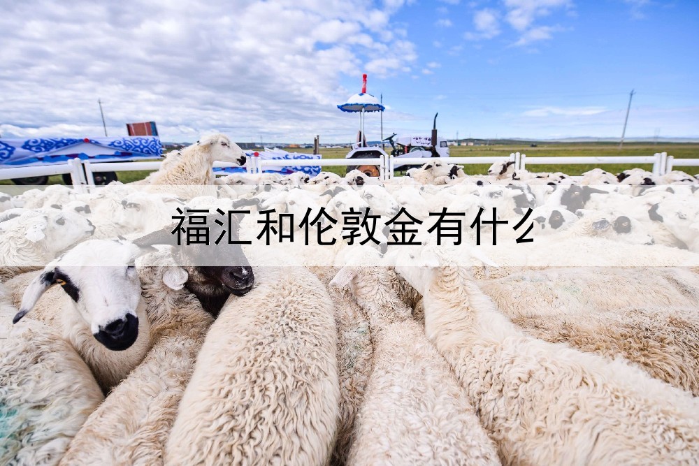  福汇和伦敦金有什么区别